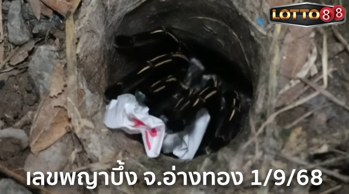 เลขพญาบึ้ง จ.อ่างทอง 1/9/68
