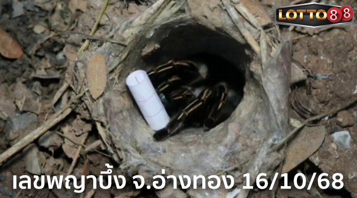 เลขพญาบึ้ง จ.อ่างทอง 16/10/68