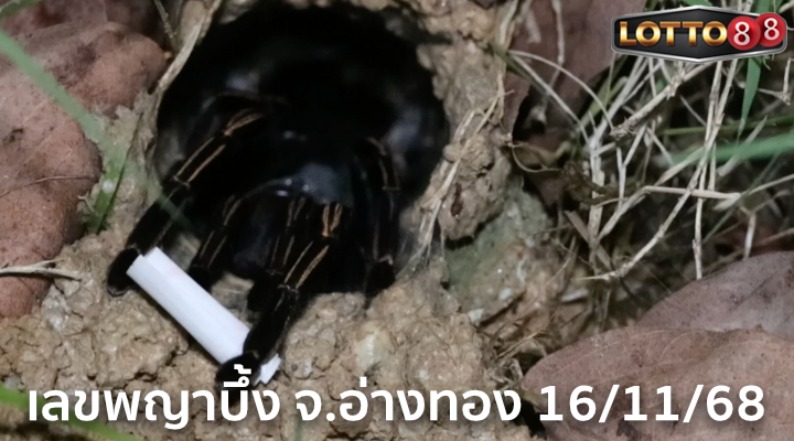 เลขพญาบึ้ง จ.อ่างทอง 16/11/68