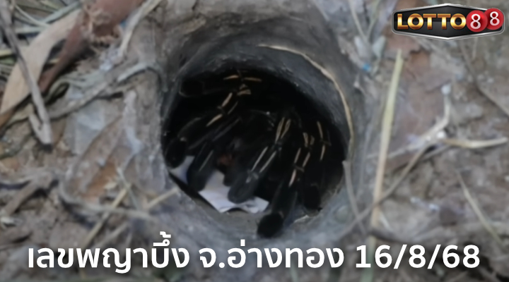 เลขพญาบึ้ง จ.อ่างทอง 16/8/68