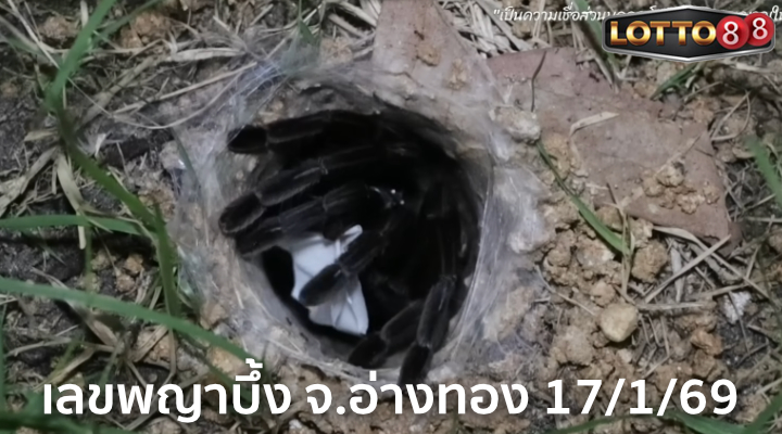 เลขพญาบึ้ง จ.อ่างทอง 17/1/69