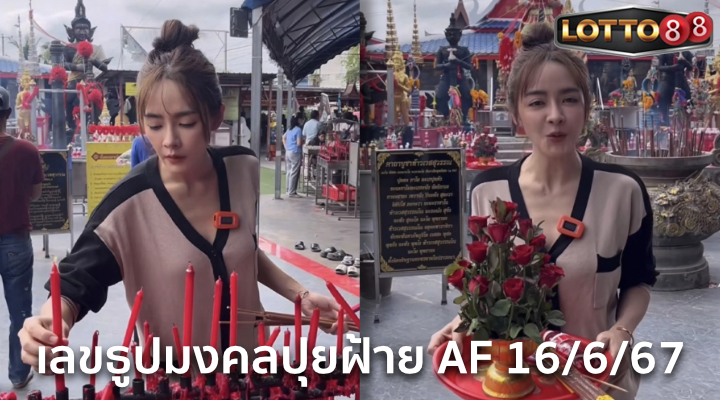 เลขธูปปุยฝ้าย AF 16/6/67