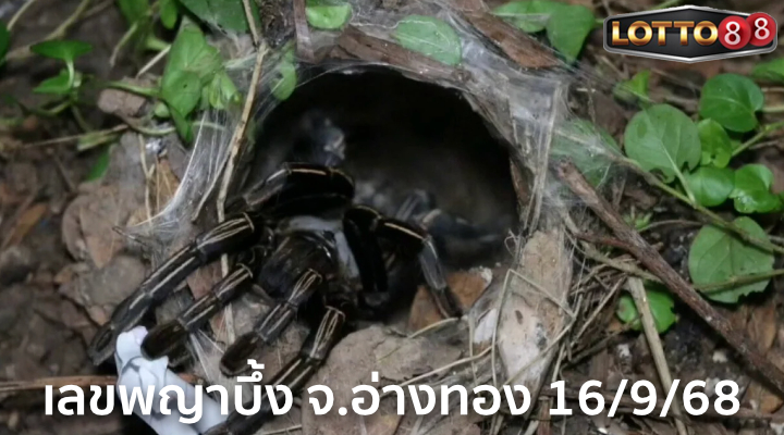 เลขพญาบึ้ง จ.อ่างทอง 16/9/68